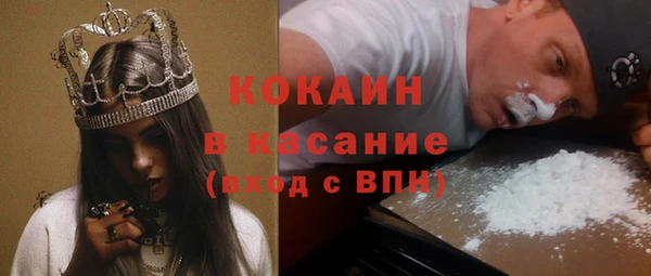прущая мука Вяземский