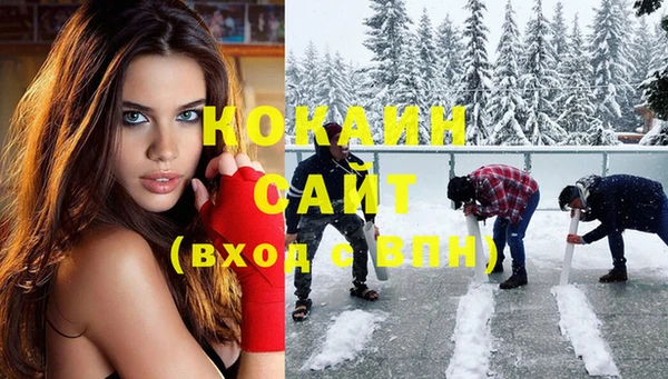 прущая мука Вяземский
